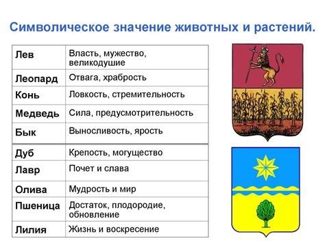 Символическое значение цветов в снах о появлении младенца мальчика