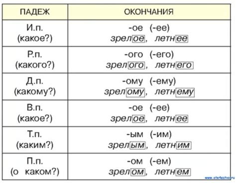 Синтаксическое и грамматическое определение рода иностранных прилагательных в русском языке