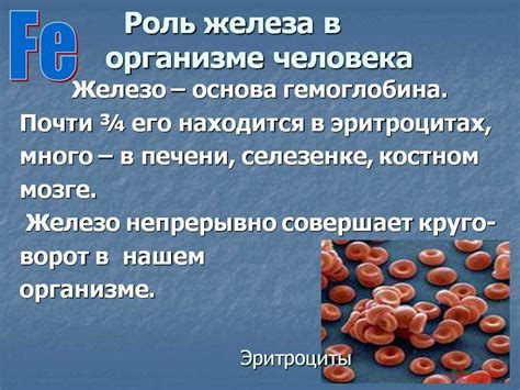 Системные заболевания, сказывающиеся на уровне содержания железа в организме