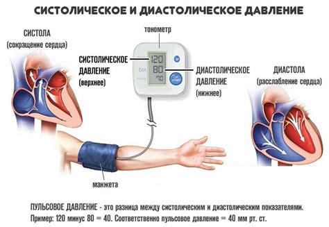 Систолическое и диастолическое давление: понятие и значение