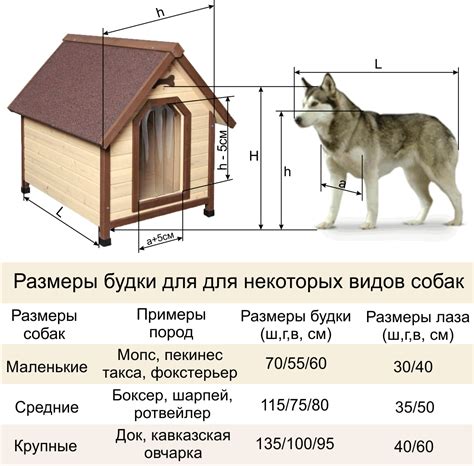 Собственоручно изготовленное убежище для питомца: последовательная инструкция