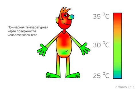 Советы для уменьшения температуры в организме и окружающей среде