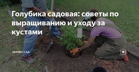 Советы по созданию и уходу за бумажным зверем