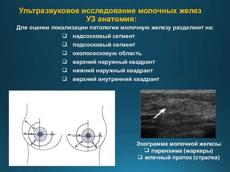 Советы по сохранению и использованию молочной железы