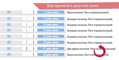 Советы по эффективному использованию тестов на выявление овуляции