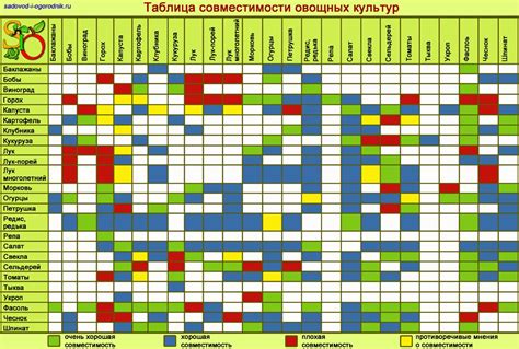 Совместимость различных культурных растений с картофелем