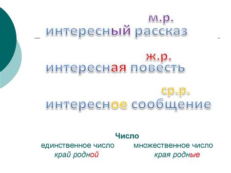 Согласование описательных слов с именами в числе и роде