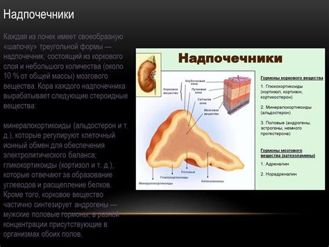 Создание формы для оригинального около-мозгового покрытия