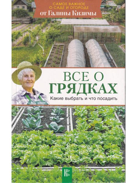 Сон о грядках с огурчиками: символ буйного роста и плодородия