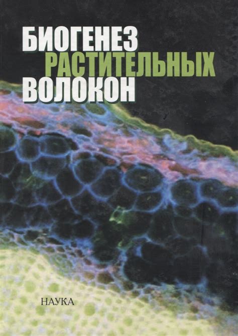 Соотношение между недостаточной перевариваемостью растительных волокон и состоянием кишечника