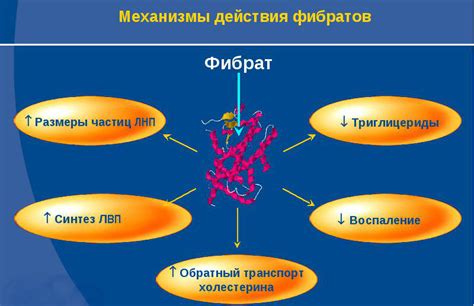 Состав и механизм действия: сравнение и особенности