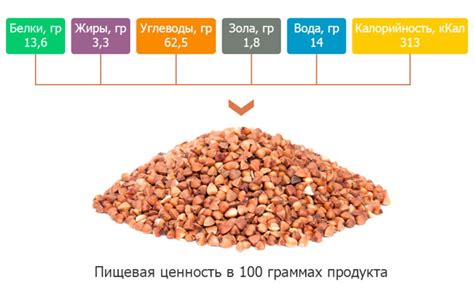 Состав и питательные компоненты гречки и его разновидностей