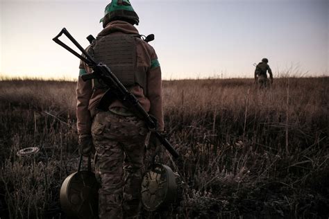 Состояние области, где находился арбуз на земле