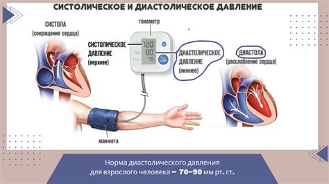 Состояния, которые могут повлиять на функции сердца