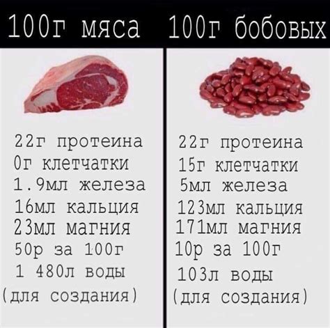 Сохранение питательных свойств мяса при его приготовлении