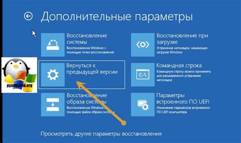 Сохранение предыдущей версии программы без установки обновлений