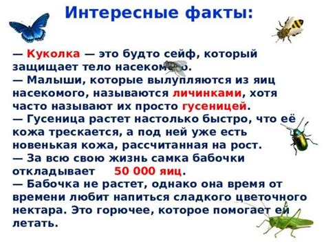 Сохранение продуктов и обработка отходов: источники размножения бабочек