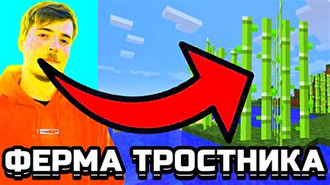 Способы добычи тростника в популярной игре-строительстве