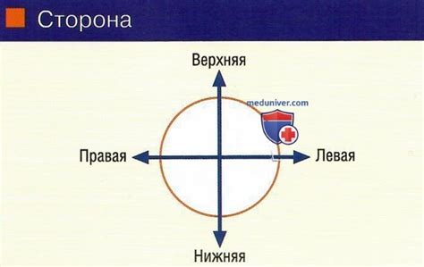 Способы доступа к автомобилю через заднюю часть