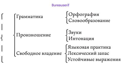 Способы использования квадратных скобок в русском языке: отображение сокращений и исправлений