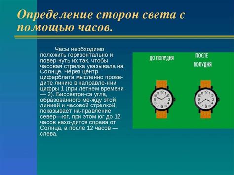 Способы определения стороны горизонта при помощи растений