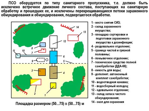 Способы очищения и санитарной обработки после устранения ночных летающих грызунов