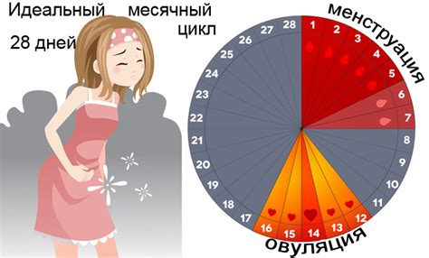 Способы решения и предотвращения нерегулярных месячных