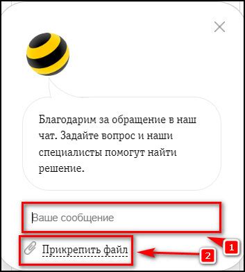 Способы связи с оператором «Билайн»: простые рекомендации и подробные указания