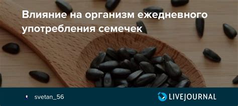 Способы умеренного употребления обжаренных семечек для снижения негативного воздействия на организм