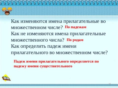 Способы установки пола прилагательного во множественном числе