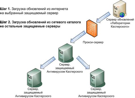 Стратегия обновления антивирусных баз данных для достижения максимальной эффективности борьбы с вредоносными программами