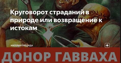 Стремление к природе: возвращение к своим истокам в безжалостном мире технологий