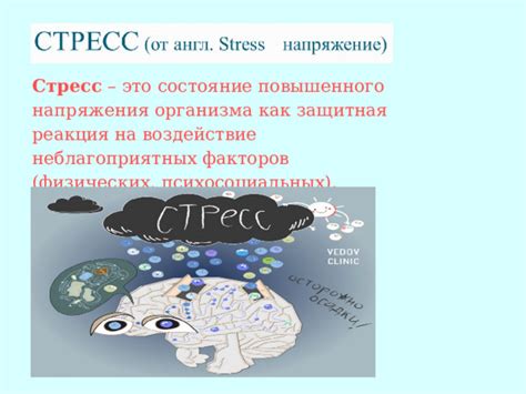 Стрессы и психоэмоциональные напряжения: влияние нервных факторов на состояние кожного покрова