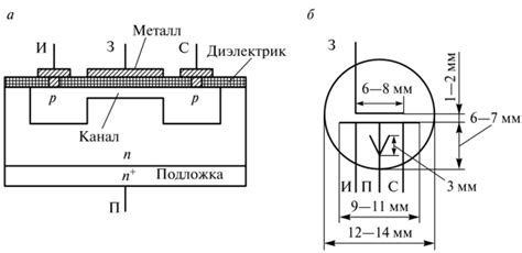 Структура и компоненты транзистора