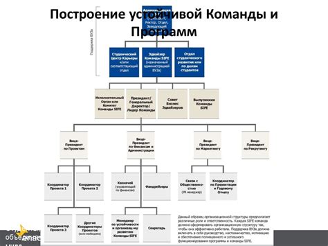 Структура команды господина Биста: лидеры и исполнители