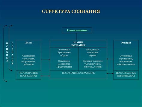 Структура пана: основные элементы