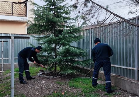 Структура помещения во время праздников