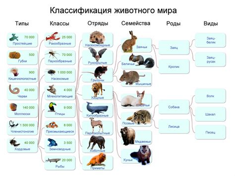 Структура семейства: роды и виды