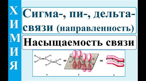 Структура сигма связи: понимание основного типа химической связи