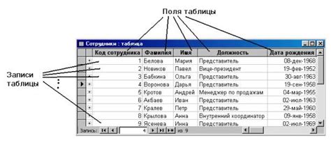 Структура таблицы и ее роль в базе данных