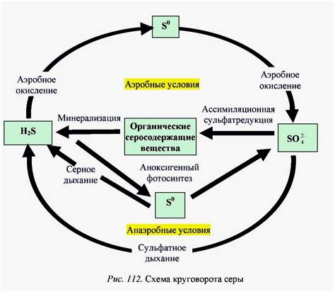 Суть и роль специального элемента в грунте