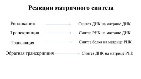 Суть и роль ссылки в передаче информации