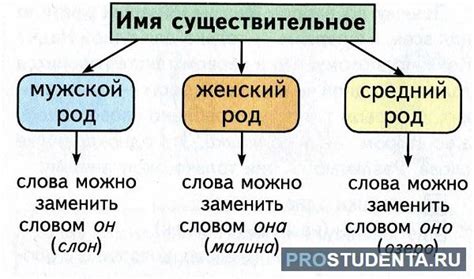 Существительные: универсальные слова в русском языке