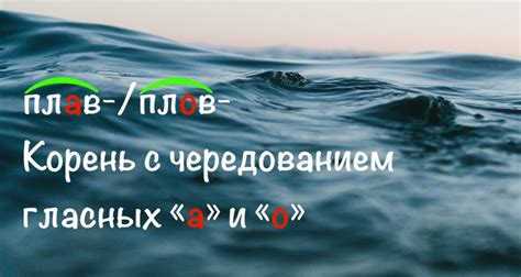 Существует ли разница в правильном написании слова "пловец" или "плавец"?