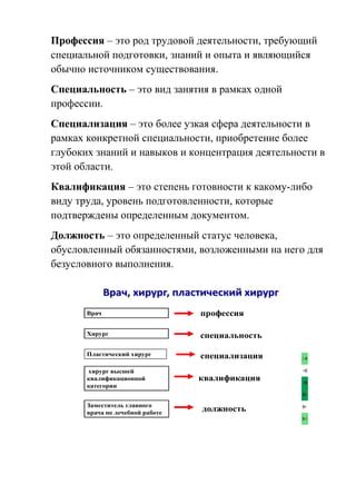 Сфера деятельности и специализация врача Робика 409