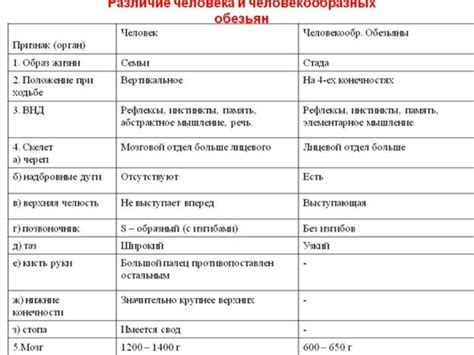 Сходства и различия в трактовке "периода времени" в разных культурах и религиях