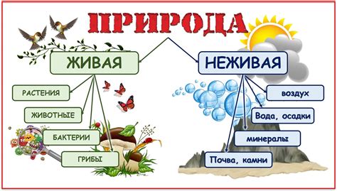 Тайная связь между именем Оукен и природой