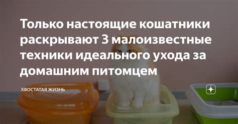 Тайны, которые раскрывают настоящие мастера плововарения