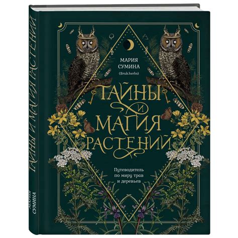 Тайны и магия: история элексиров колдуньи