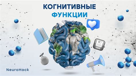 Тема: Положительное влияние на когнитивные функции и уровень IQ